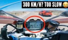 兰博视角吃瓜,揭秘娱乐圈那些不为人知的“瓜”