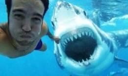 鲨鱼哟syy吃瓜,揭秘娱乐圈幕后故事