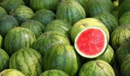 吃瓜带图,揭秘网络热议背后的趣味与真相