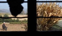 老舅吃的瓜,揭秘娱乐圈幕后那些事儿