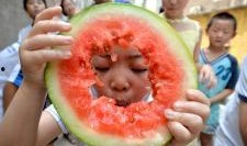 邯郸县吃瓜,品味夏日清凉