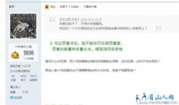 福利吃瓜网站,带你领略网络娱乐新风尚