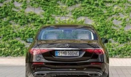 奔驰s吃瓜,一场意外的网络热议