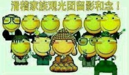 吃瓜英国拒绝中俄印,揭秘背后的外交风云