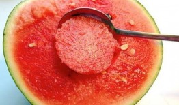 西瓜特效吃瓜,夏日清凉新体验