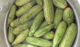 小角瓜孕妇可以吃,小角瓜助力孕妇健康饮食