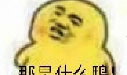 吃瓜表情包是,网络时代的幽默风向标