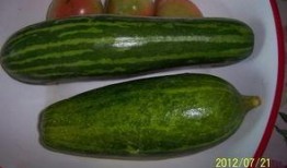 抚州哪里可以吃瓜,探寻当地特色美食之旅