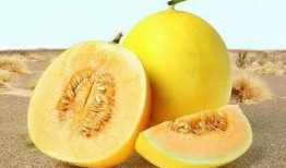 吃瓜网 166 su,揭秘吃瓜网热门话题背后的真相