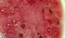 大晚上吃啥瓜,大晚上吃啥瓜的美食攻略